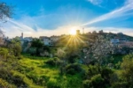 ارتفاع تدريجي على الحرارة حتى الثلاثاء