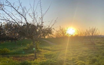 أجواء دافئة في أغلب المناطق الأحد وأمطار متفرقة الاثنين