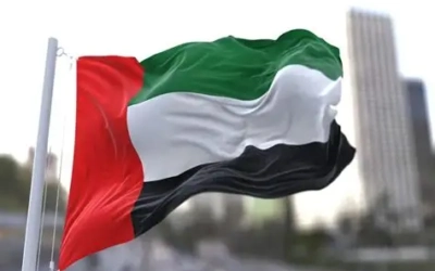 وزير الطاقة الإماراتي: الانسحاب من أوبك وأوبك+ قرار وطني سيادي