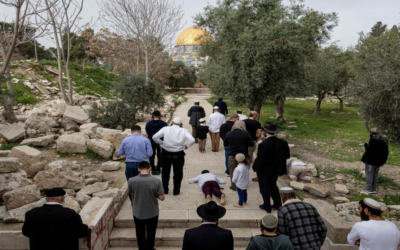 محافظة القدس: 8 محاولات لإدخال القرابين إلى المسجد الأقصى