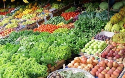 3496 طنا من الخضار و475 طنا من الفواكه  ترد السوق المركزي اليوم