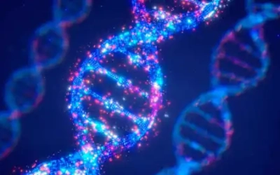 حل لغز جثة مجهولة بعد 25 عامًا في واشنطن باستخدام الحمض النووي