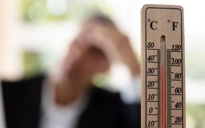 اكتشاف “درعاً” طبيعياً ضد الحرارة الشديدة
