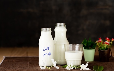 دراسة: الألبان كاملة الدسم لا تزيد الوزن عند تناولها باعتدال