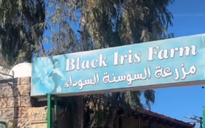 مزرعة السوسنة السوداء على موعد مع إعادة التشغيل