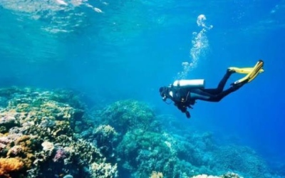 العقبة البحرية في قائمة اليونسكو للتراث العالمي