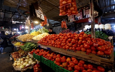 3.3 آلاف طن خضار وفواكه ترد السوق المركزي اليوم.. والبندورة تسجل 5 قروش للكيلو
