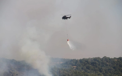 حرائق أتلفت آلاف الأشجار في الأردن خلال عامين