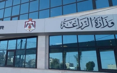 مهلة جديدة لمزارعي القمح والشعير حتى منتصف آب