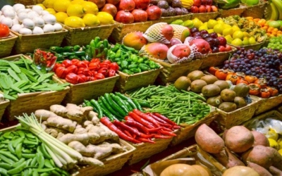 ورود 4240 طناً من الخضار والفواكه إلى سوق عمان المركزي.. والليمون يُسجل الأعلى سعراً