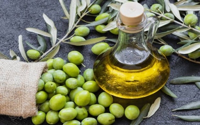 دراسات تكشف فوائد تناول زيت الزيتون على الريق صباحاً