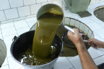 اتحاد المزارعين يتوقع وفرة في زيت الزيتون هذا العام