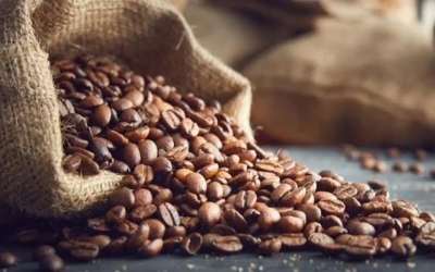 أمطار البرازيل تضع القهوة الفاخرة في خطر.. تراجع الجودة يرفع الأسعار عالمياً