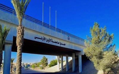 حي الزراعة في معان تحت رحمة الكلاب الضالة.. أين الجهات المعنية؟
