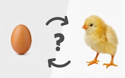 من الأسبق؟ العلماء يحسمون لغز البيضة والدجاجة
