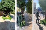 أمانة عمّان تواصل إزالة الأشجار المخالفة عن الأرصفة