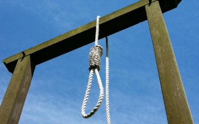 24 امرأة ضمن 298 محكوما بالإعدام في مراكز الإصلاح والتأهيل