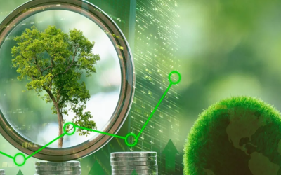وزير البيئة يؤكد أهمية التحول للاقتصاد الأخضر