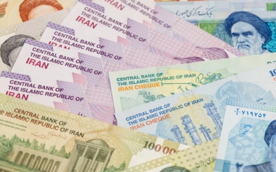 الإمارات تحظر نشاط بنك ملي الإيراني