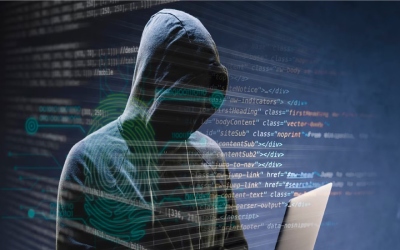 قراصنة ينشرون بيانات آلاف السائقين في فلوريدا