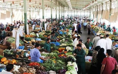 إيرادات قياسية لسوق إربد المركزي في آب: 514 ألف دينار وتوريد 26.5 ألف طن
