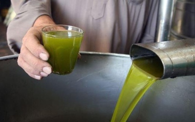 بعد وقف استيراد التونسي .. هل سيرتفع سعر الأردني