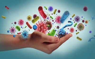 أردنيون ضمن مشروع إقليمي يلاحق أمراضاً عجز الأطباء عنها
